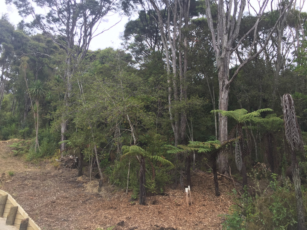 31e Cochrane Avenue, Arkles Bay, Auckland - Rodney, 0 habitaciones, 0 baños