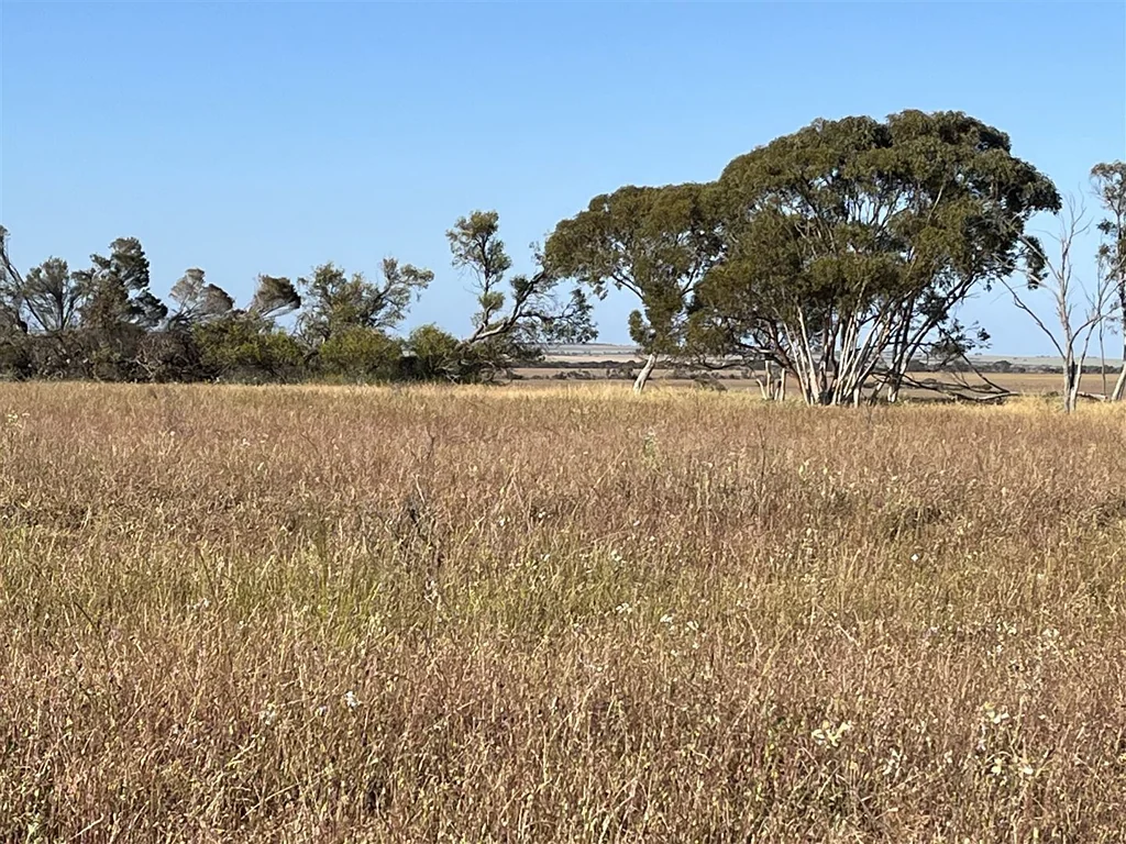 Koorda Balance of Farm Sold, One block Remaining