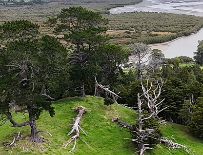 2895 State Highway 1, Okaihau, Far North, 0 રૂમ, 0 બાથરૂમ, Grazing