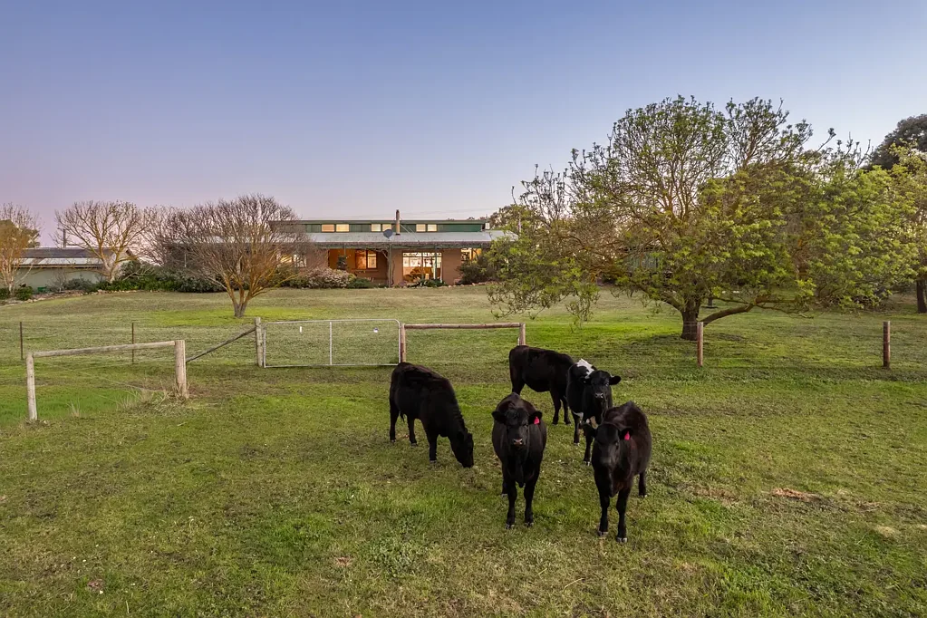 Nairne 4Kwarto A Rural Retreat with Space, Soul & Endless Views.