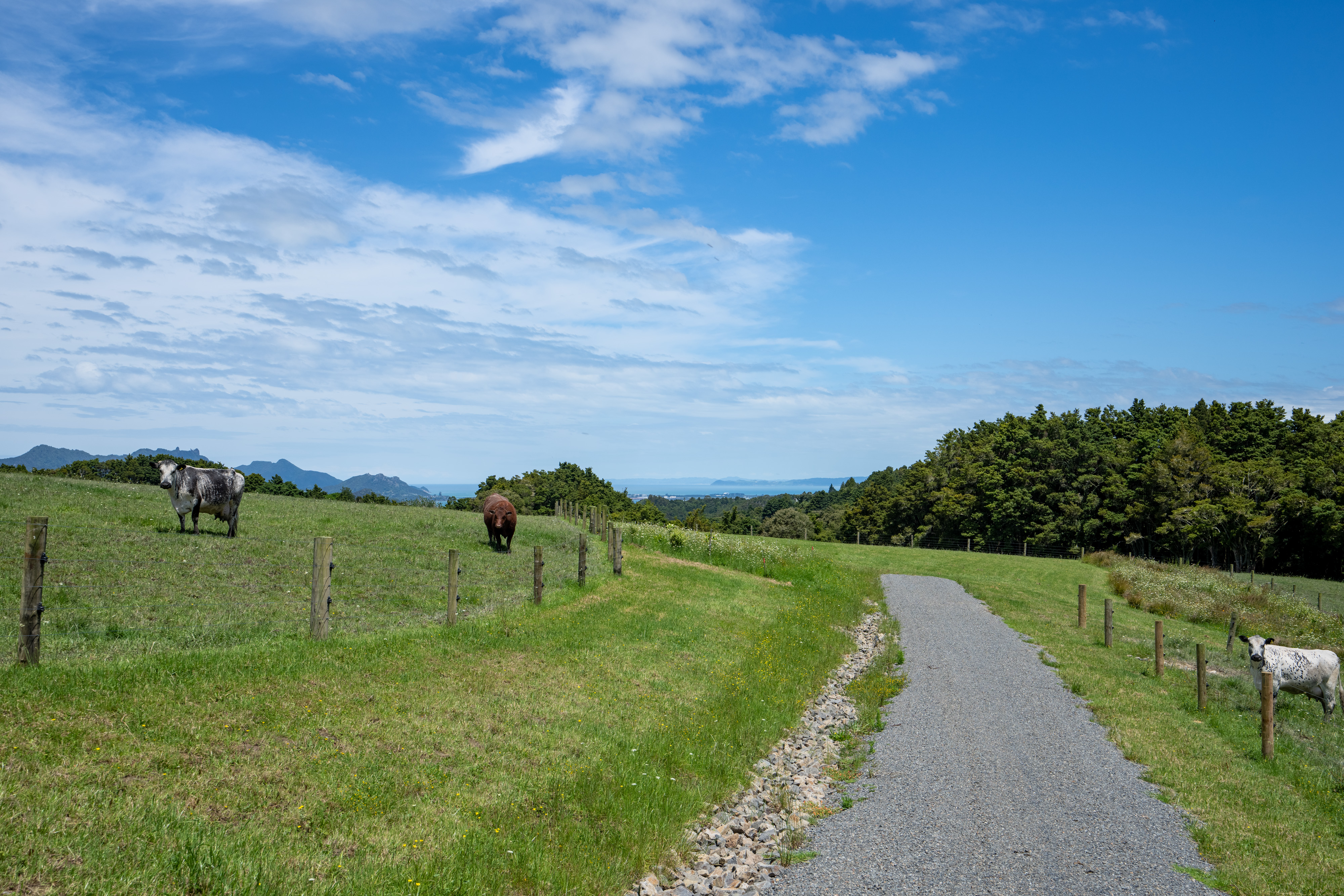 419 Owhiwa Road, Parua Bay, Whangarei, 0 phòng ngủ, 0 phòng tắm