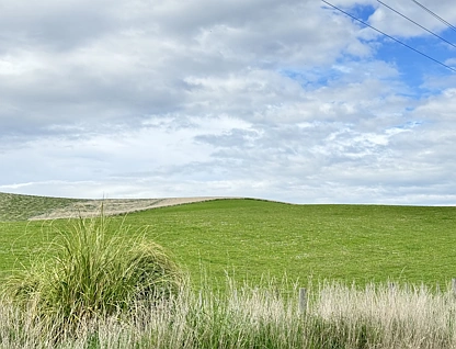 Limeworks Road - Lot 5, Milton, Clutha, 0 Bedrooms, 0 Bathrooms, Lifestyle Section