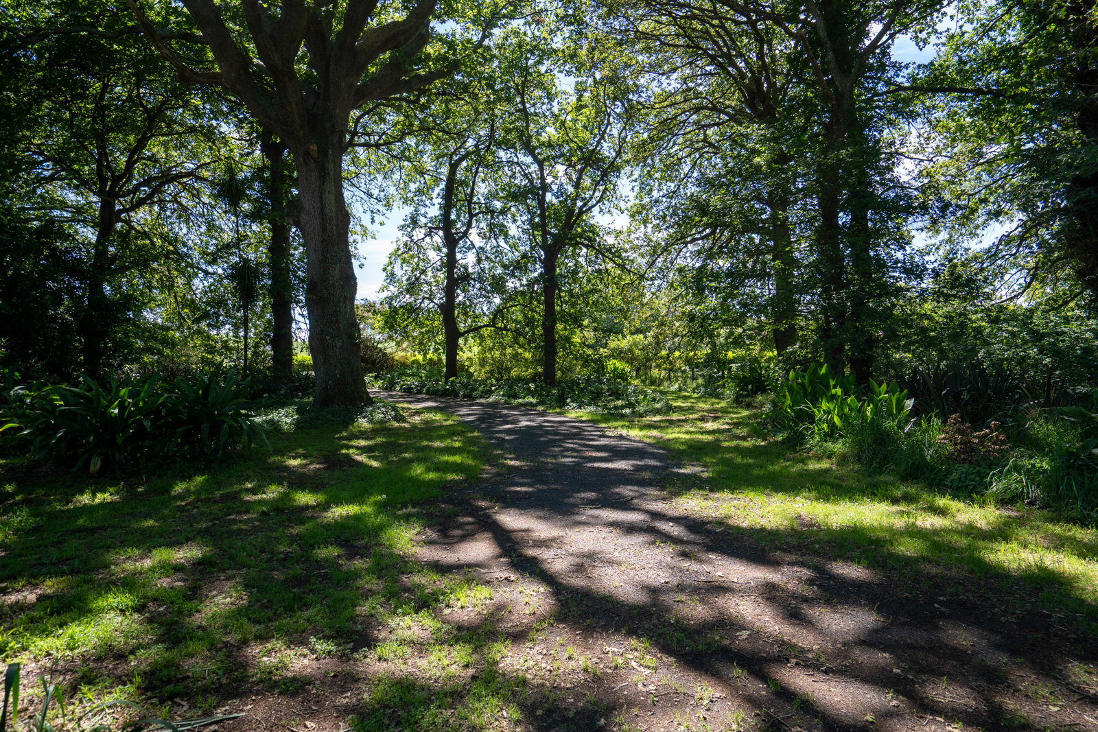 1507 Tauwhare Road, Eureka, Waikato, 4 રૂમ, 0 બાથરૂમ, Lifestyle Property