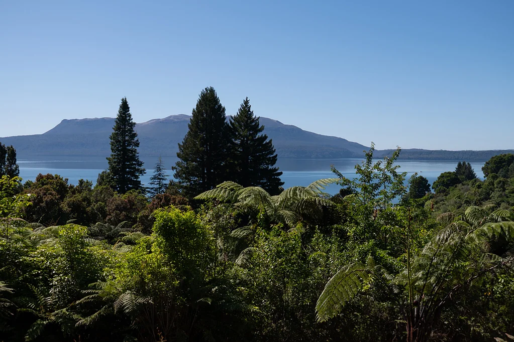 Lake Tarawera Lake Views