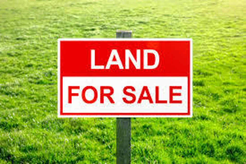 Donnybrook Invest In Your Future !!!