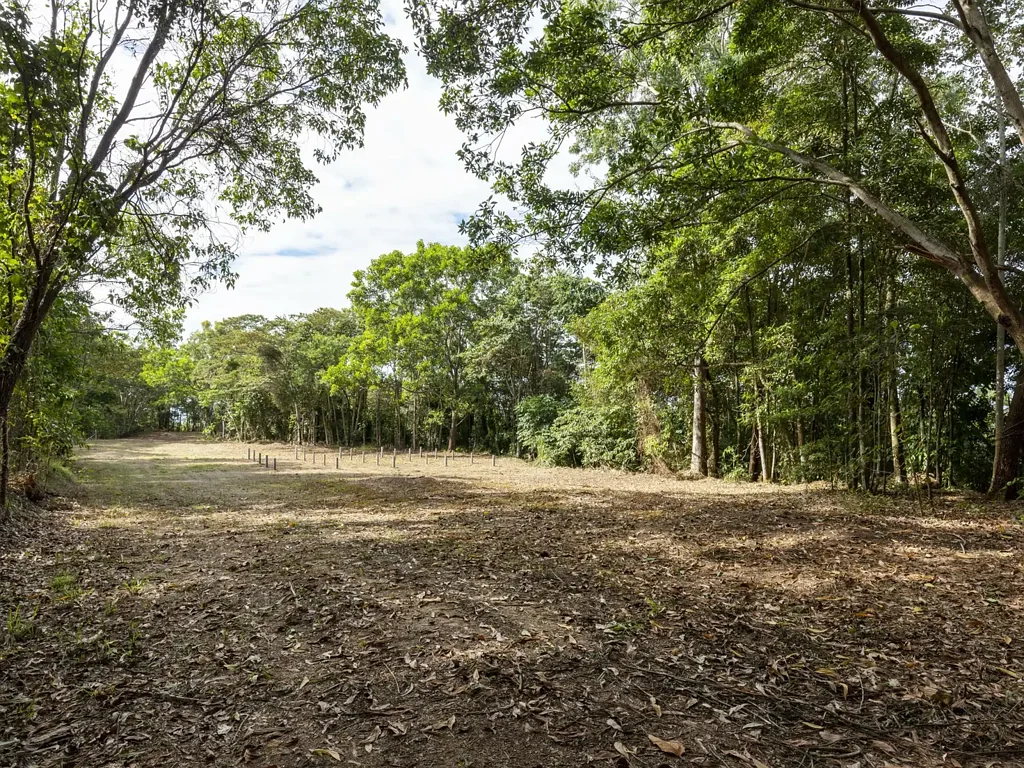 Lot 11 Sawmill Road, Mossman, QLD 4873