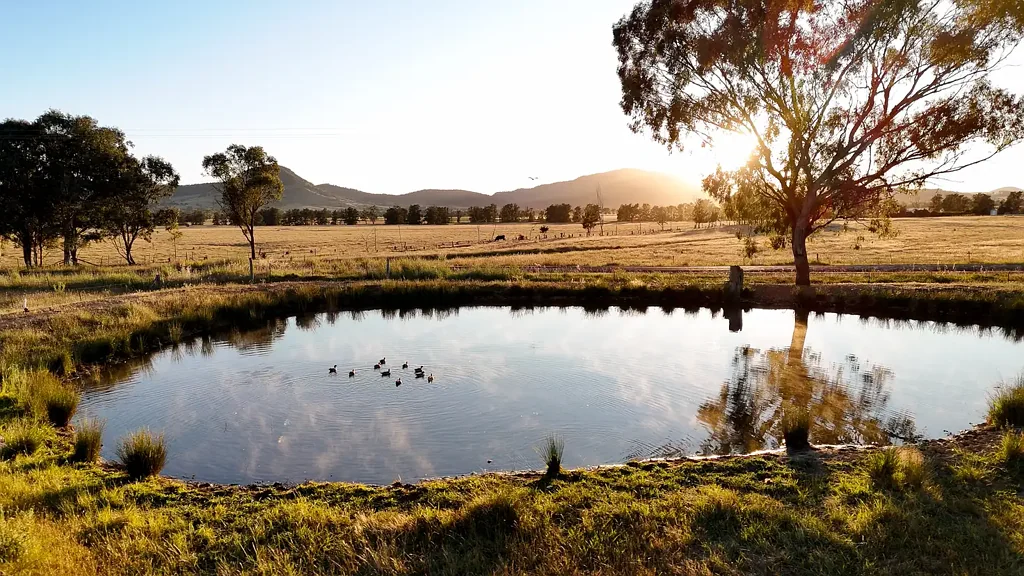 Mudgee Secure your five-acre future in Lawson Estate