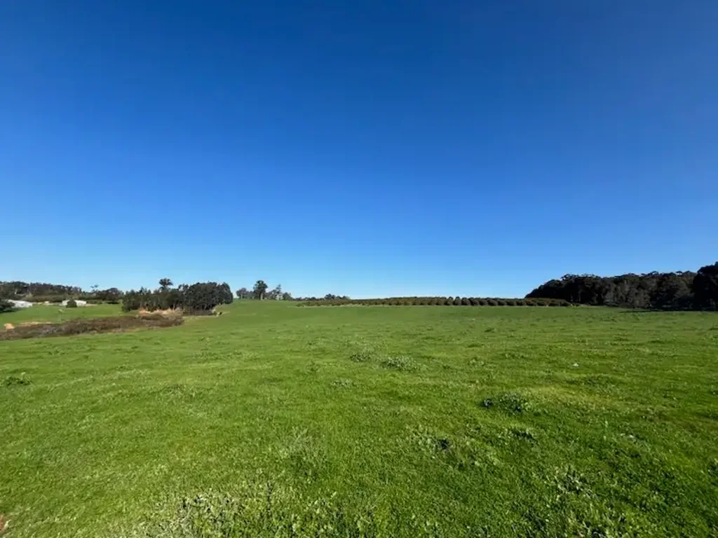 Lot 500 Pipe Clay Gully Road, Manjimup, WA 6258