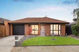 29 Danthonia Street, Delahey