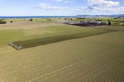 Willows Road, Matawhero, 0房, 0浴, Bare Land