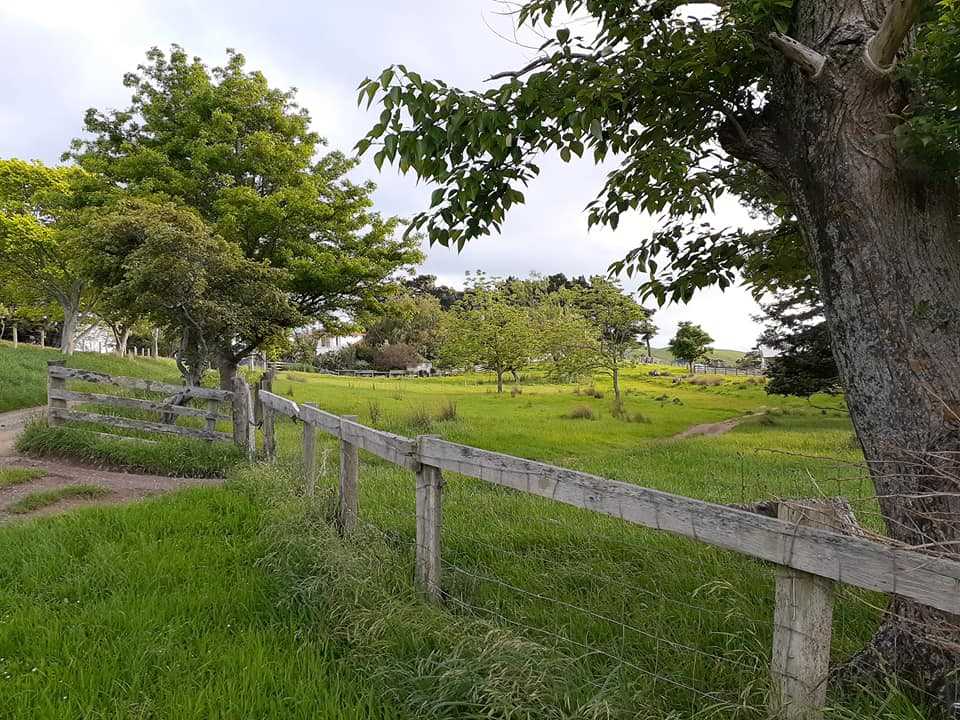 923 Oporae Road, Waione, Tararua, 5 habitaciones, 0 baños, House