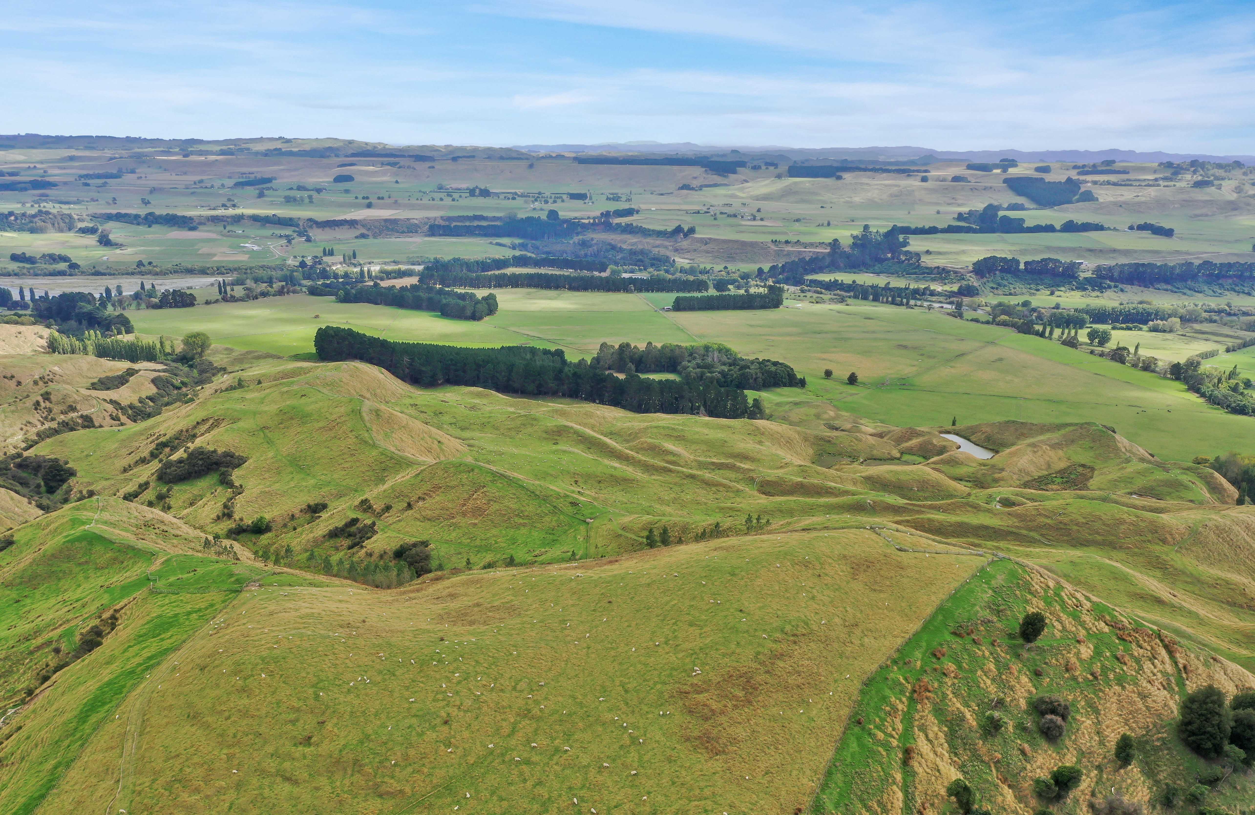 1370b Cheltenham Hunterville Road, Waituna West, Manawatu, 0房, 0浴, Grazing