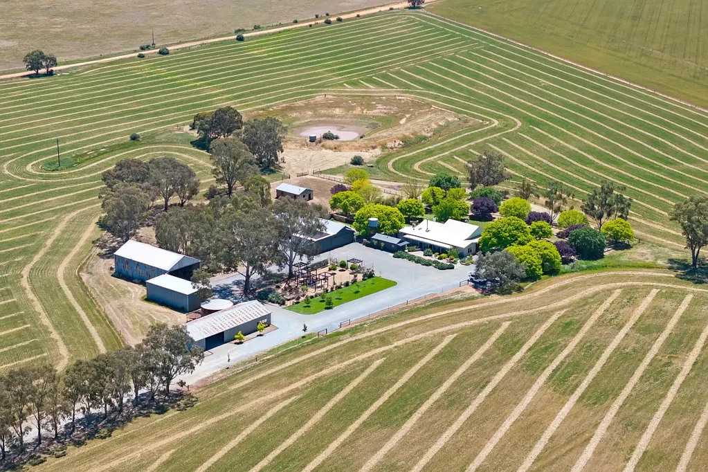 Mintaro  Discover Timeless Elegance at the Historic Ashmore Homestead