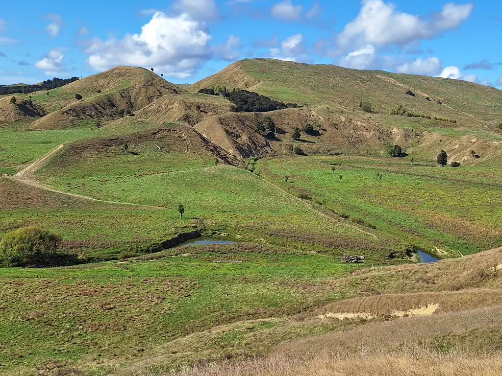 Pongaroa Versatile Bare Land Block