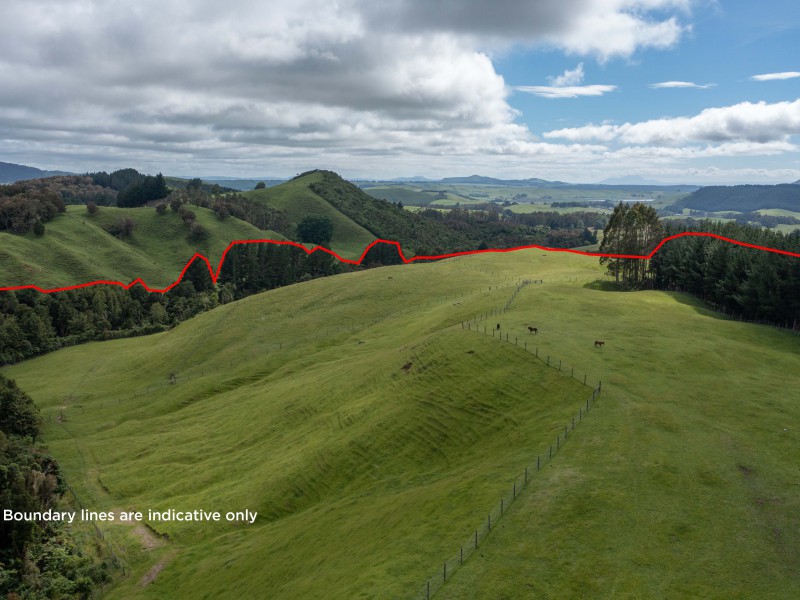 2603 State Highway 41, Kuratau, Taupo, 2 rūma, 0 rūma horoi