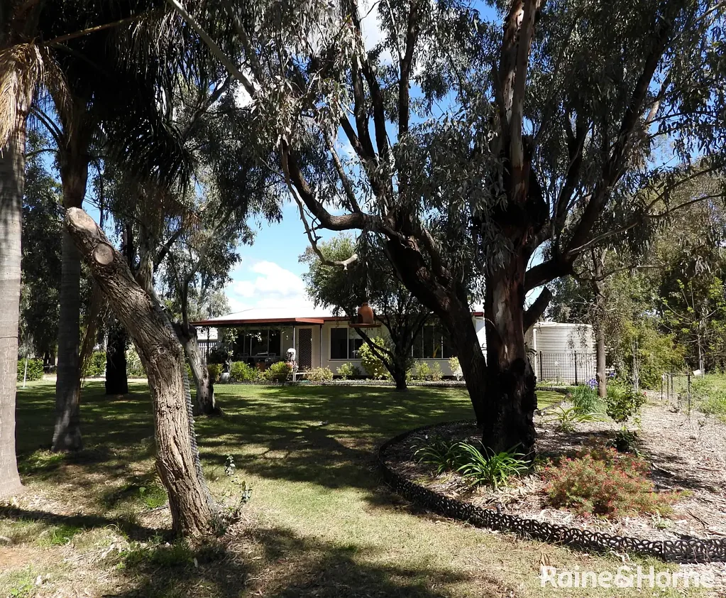 75 Wilga Street, Ashley, NSW 2400