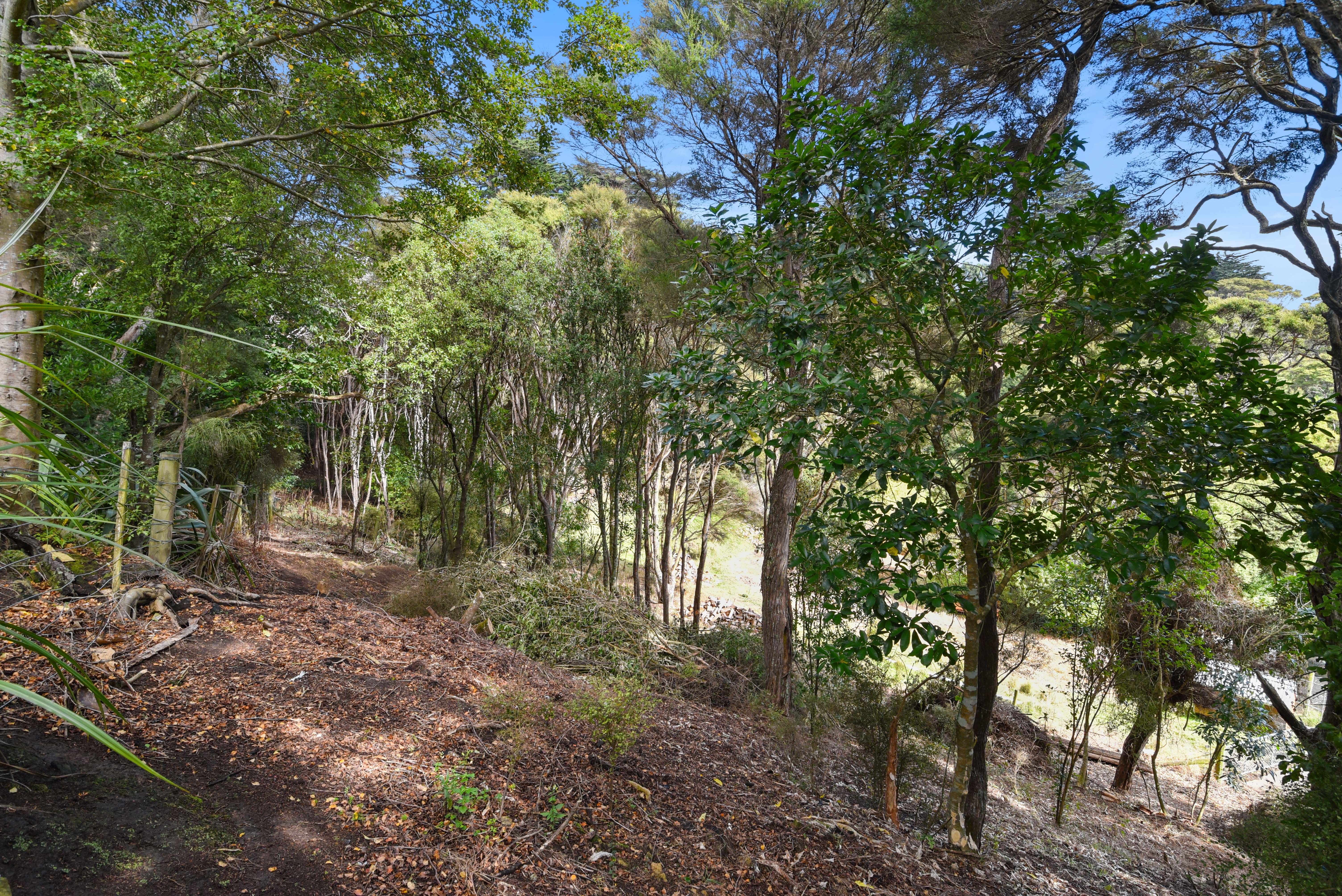 2 Treetop Drive, Portobello, Dunedin, 0 habitaciones, 0 baños, Section