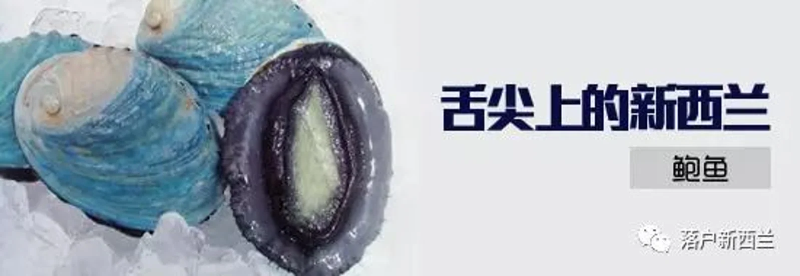舌尖上的新西兰|超长超全的新西兰美食介绍