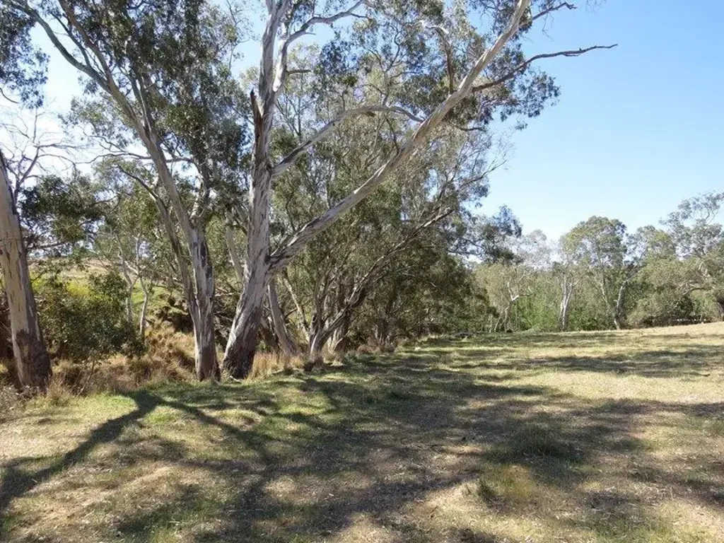 Heathcote Endless Potential on 1.966 Hectares - Your Country Dream Starts Here