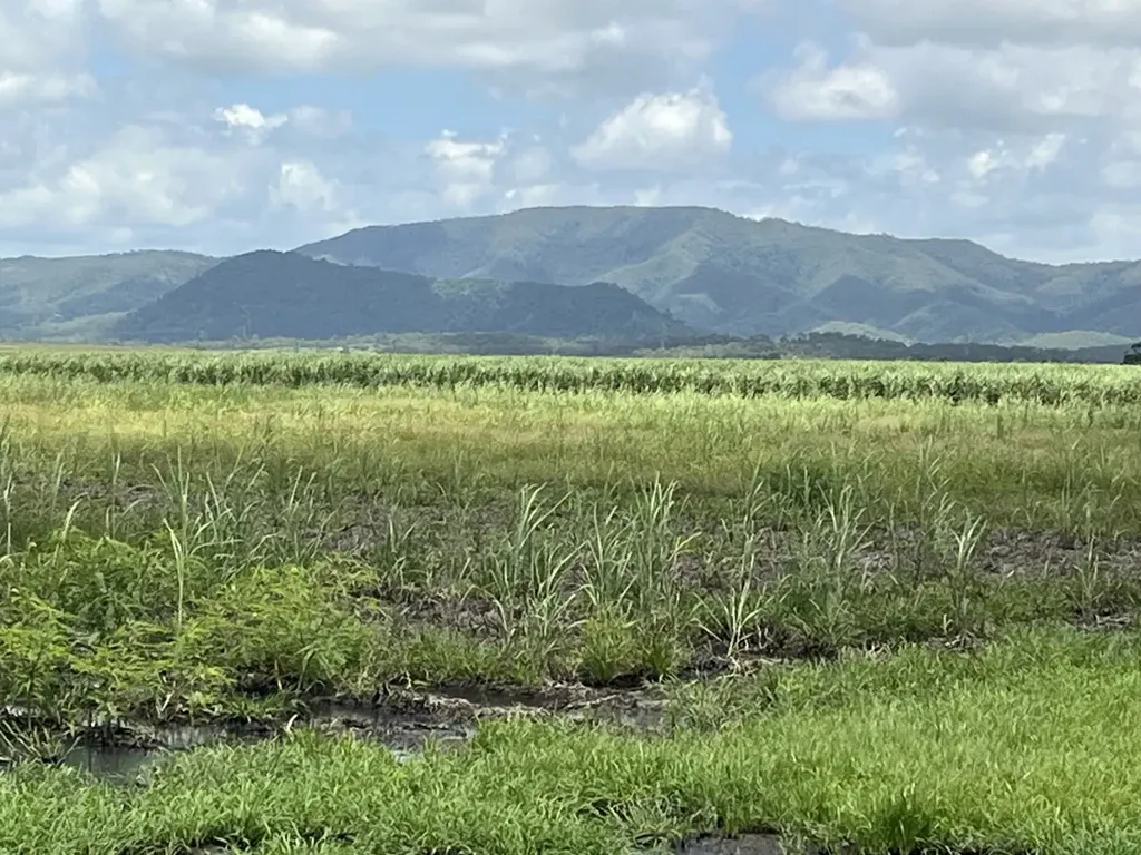 Balberra Productive 47-Acre Cane Farm with Irrigation & Lifestyle Potential