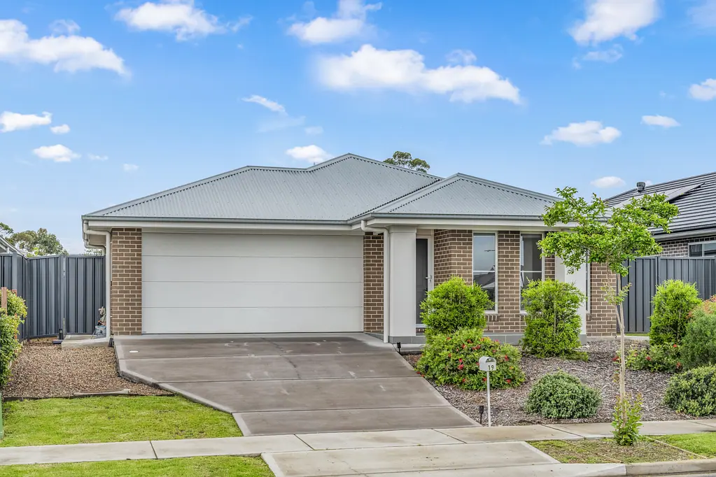 19 Springfield Drive, Lochinvar, NSW 2321