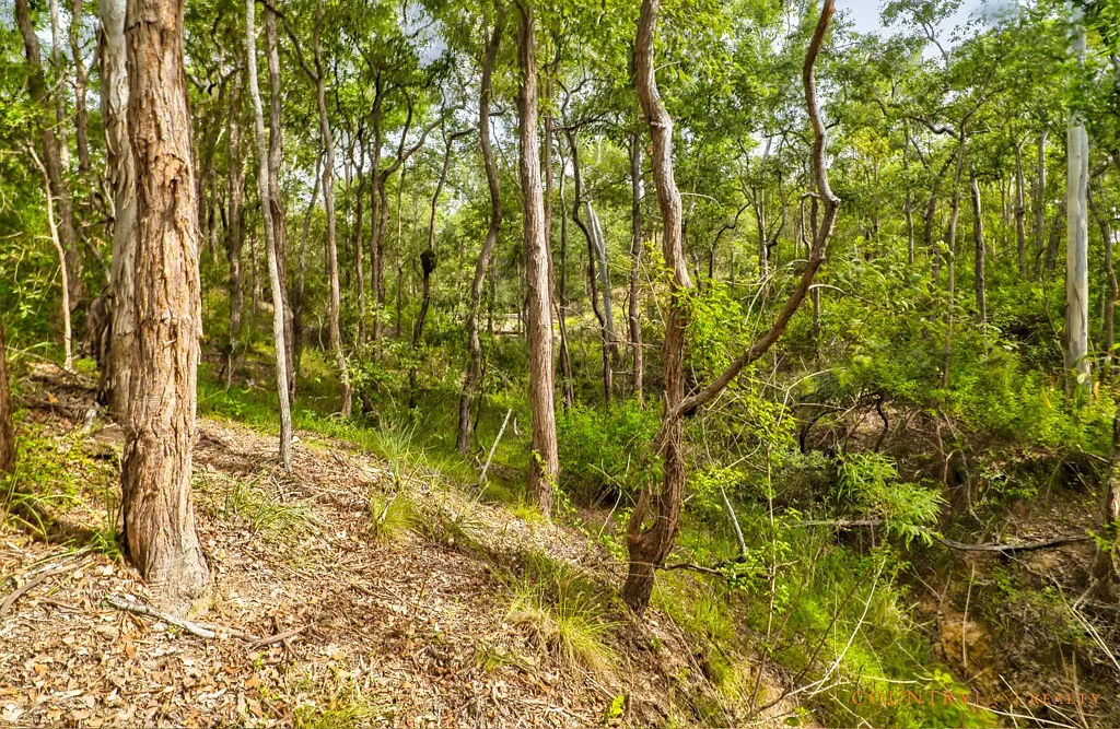Lot 67 Laurel St, Esk, QLD 4312