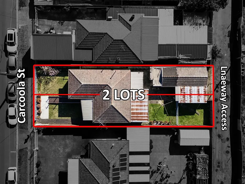 163 Carcoola Street, Canley Vale, NSW 2166