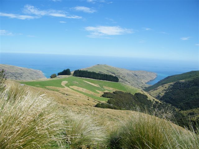 Rural Banks Peninsula