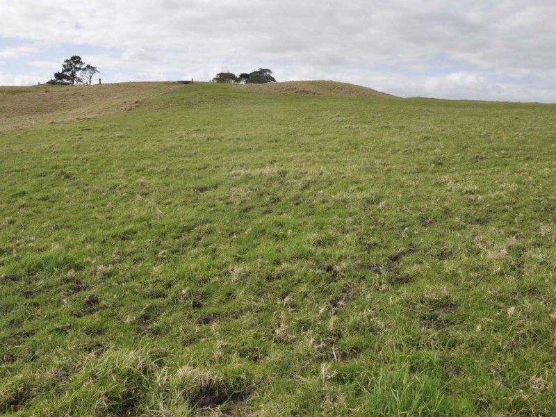 Dunn Road, Ruawai, Kaipara, 0房, 1浴