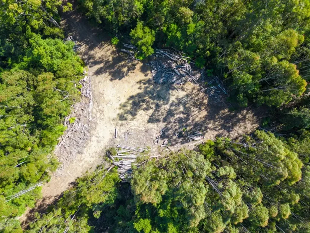 Lot 16 Lower Bobo Road, Ulong, NSW 2450