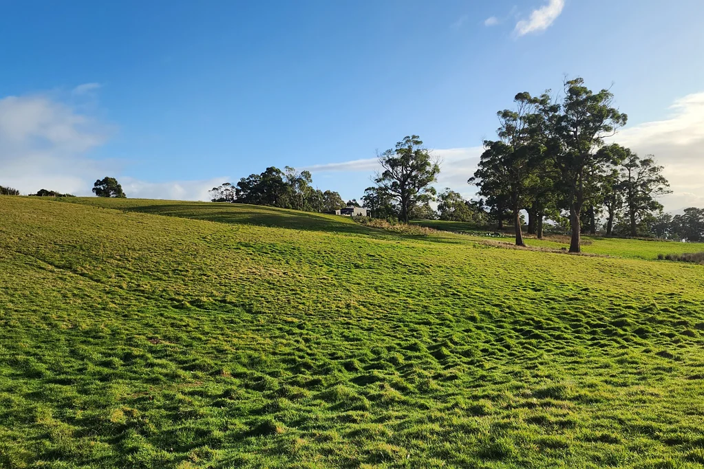 436 Nubeena Road, Koonya, TAS 7187