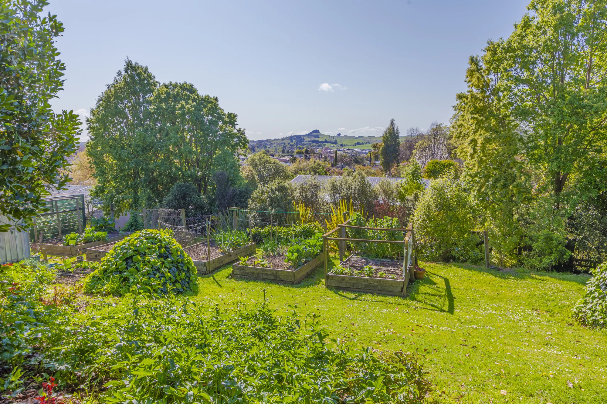 Waipukurau and Surrounds  Remarkable hillside setting