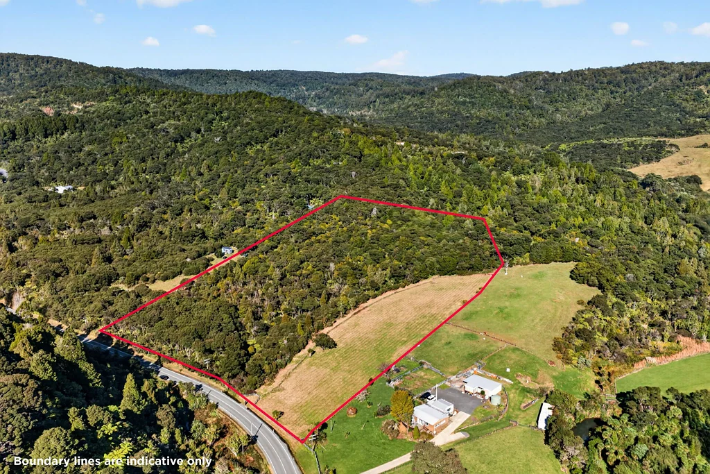 Waitakere Blank canvas with no covenants!
