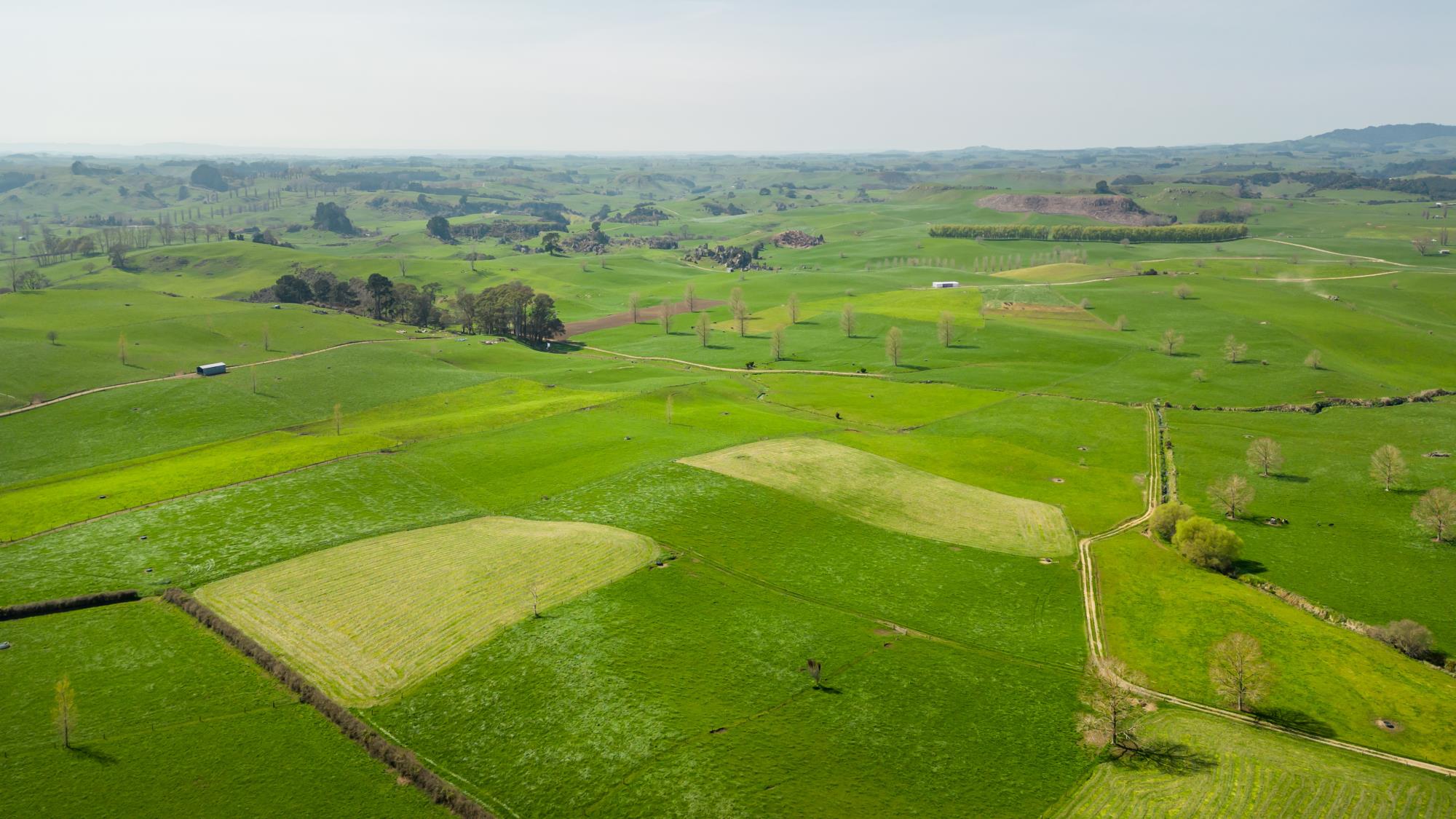 62 Seafund Road, Wharepuhunga, Otorohanga, 0房, 0浴, Dairy