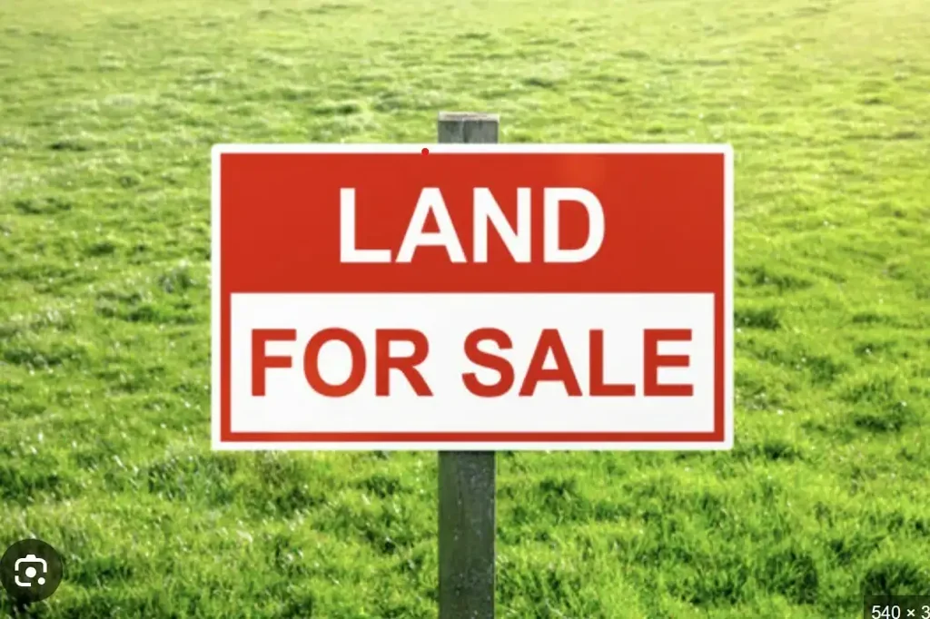 Box Hill 5房  Secure Your Spot in Box Hill — Land Only or House & Land Packages Offered!