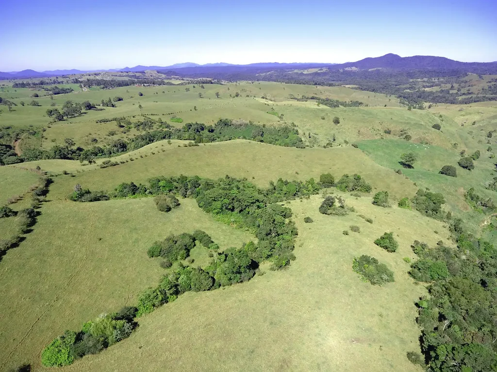 Millaa Millaa ROLLING GREEN HILLS