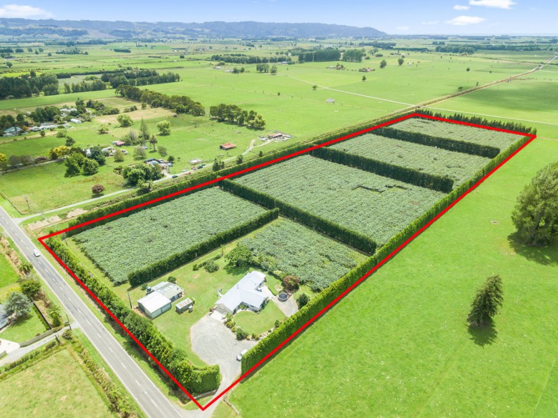 72 Otakiri Road, Edgecumbe, Whakatane, 3房, 2浴