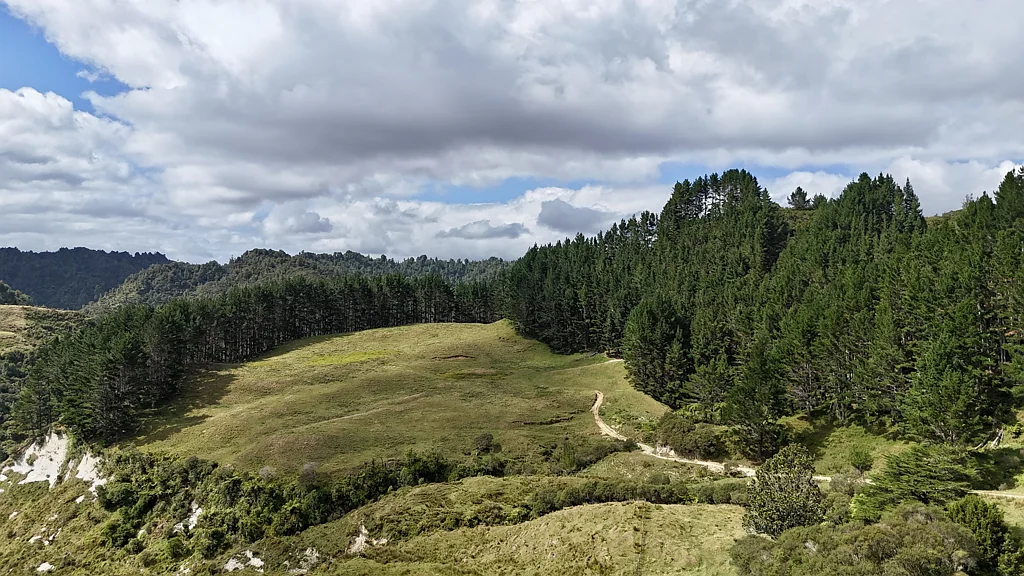 Onaero  Calling all nature lovers!