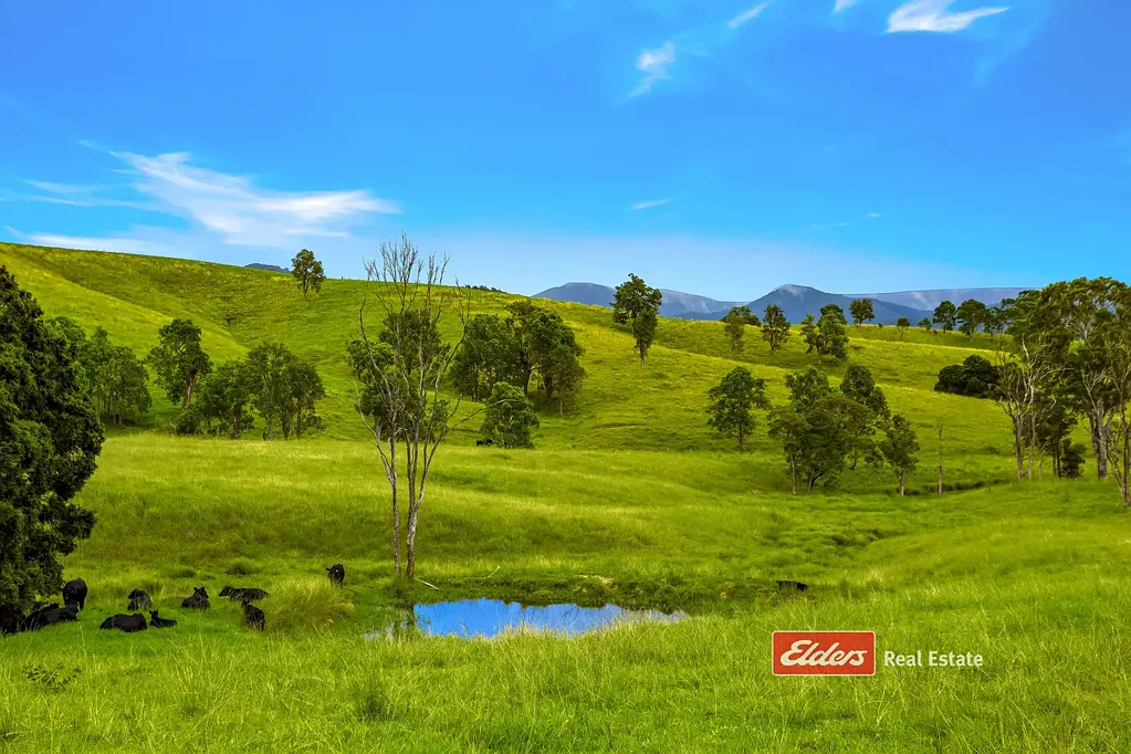 Dungog Quality Grazing Acres