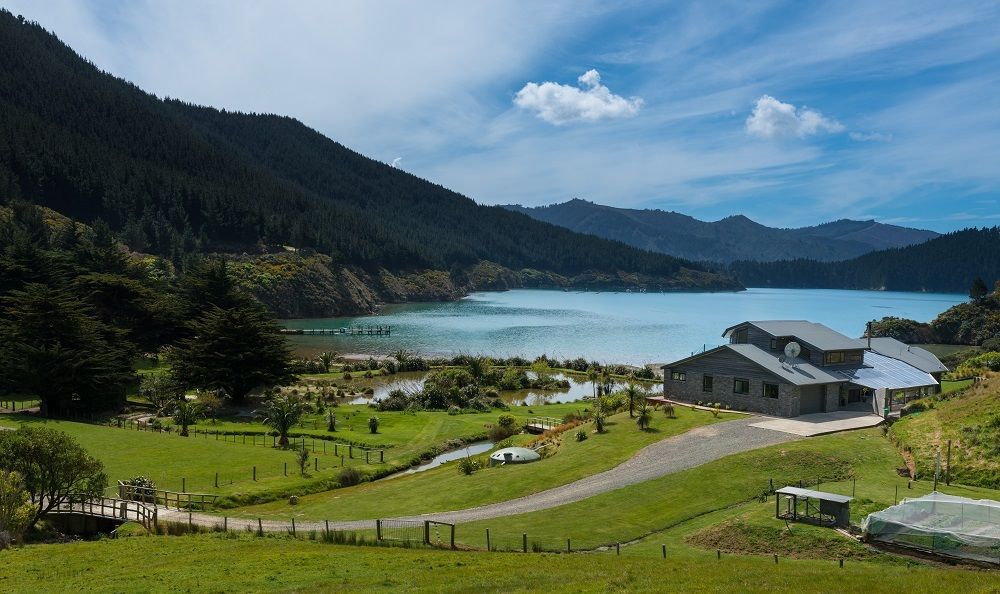 Oyster Bay, Oyster Bay, Marlborough, 0 Kuwarto, 0 Banyo