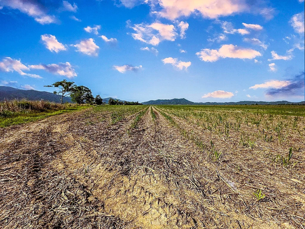 Midgenoo  Agricultural land suitable for cane farming or cattle