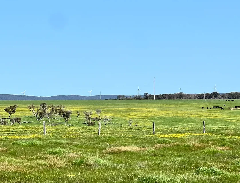 LOT 252 Albany Views Private Estate - Albany Views Private Estate, Drome, Wheat Belt, 0 habitaciones, 0 baños, Section