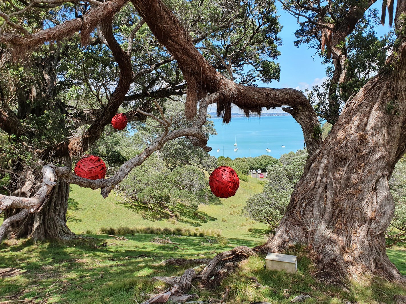 Hauraki Gulf Islands