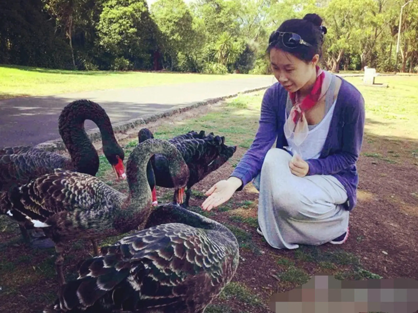 奥克兰华人最热衷的这件事已夺走成百上千条生命!请转发周知,放过TA们…
