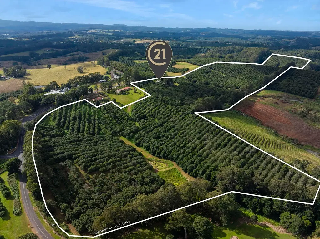 Dunoon 7房  Commercial Macadamia Nut Farm with Two Country Residences