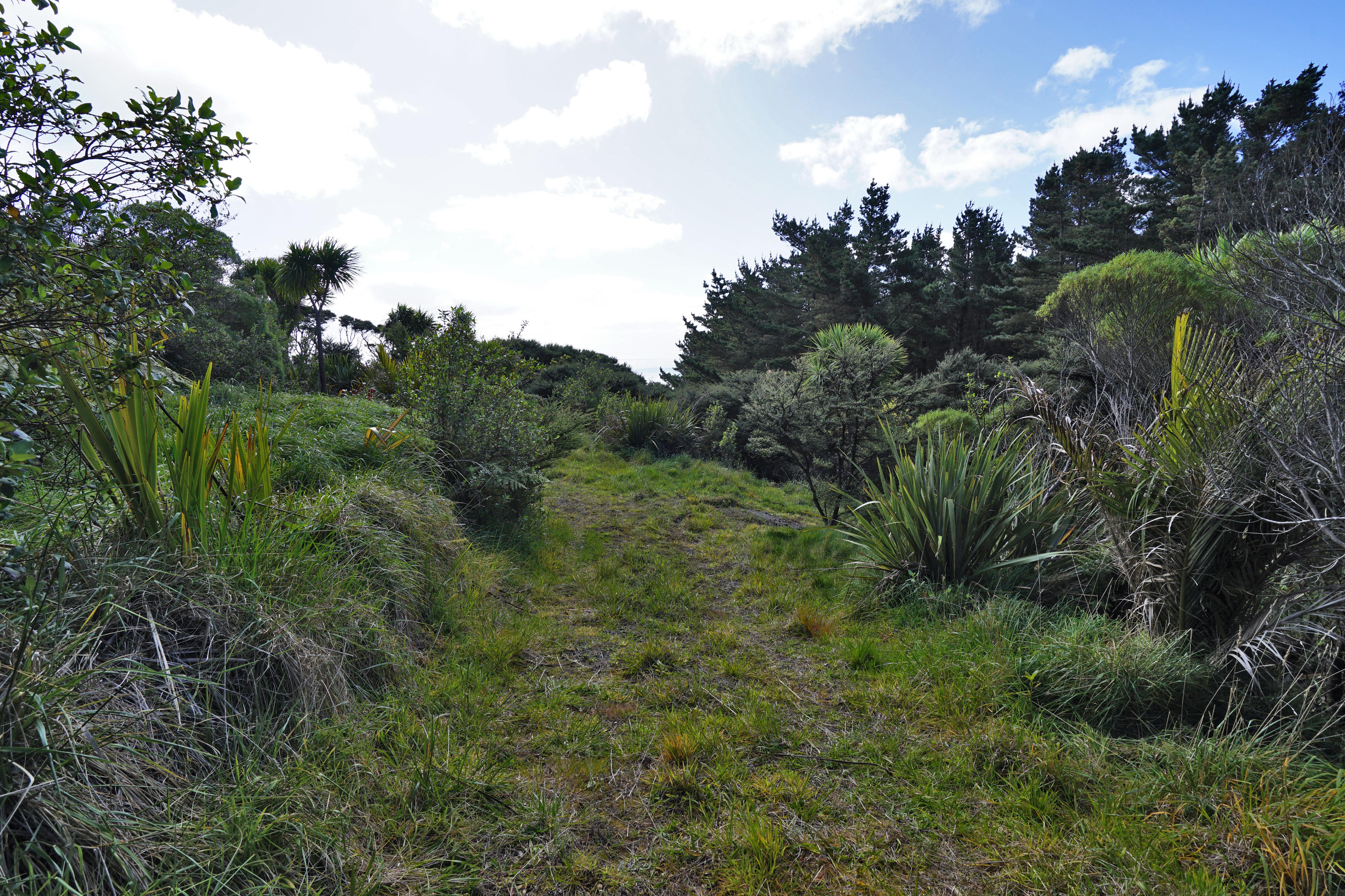 Whaanga Road, Raglan, Waikato, 0 chambres, 0 salles de bain, Lifestyle Section