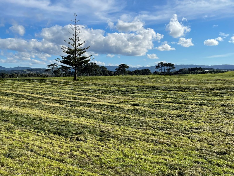 213 Black Swamp Road, Mangawhai, Kaipara, 0 phòng ngủ, 0 phòng tắm