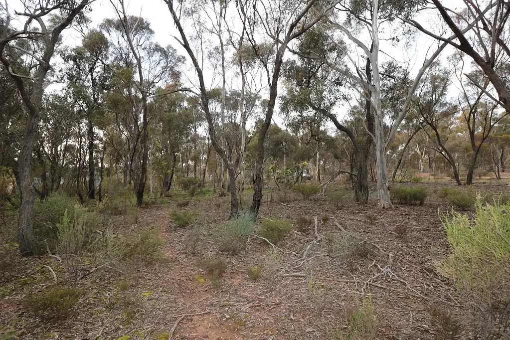 LOT 11 Canning Street, Tarnagulla, VIC 3551