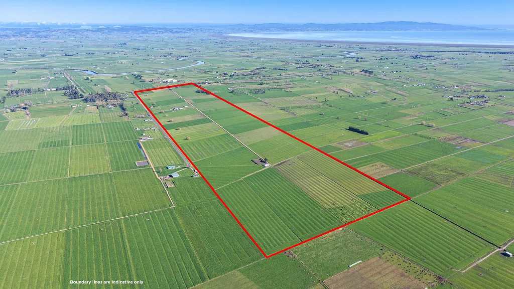 Turua Prime Hauraki Plains Position
