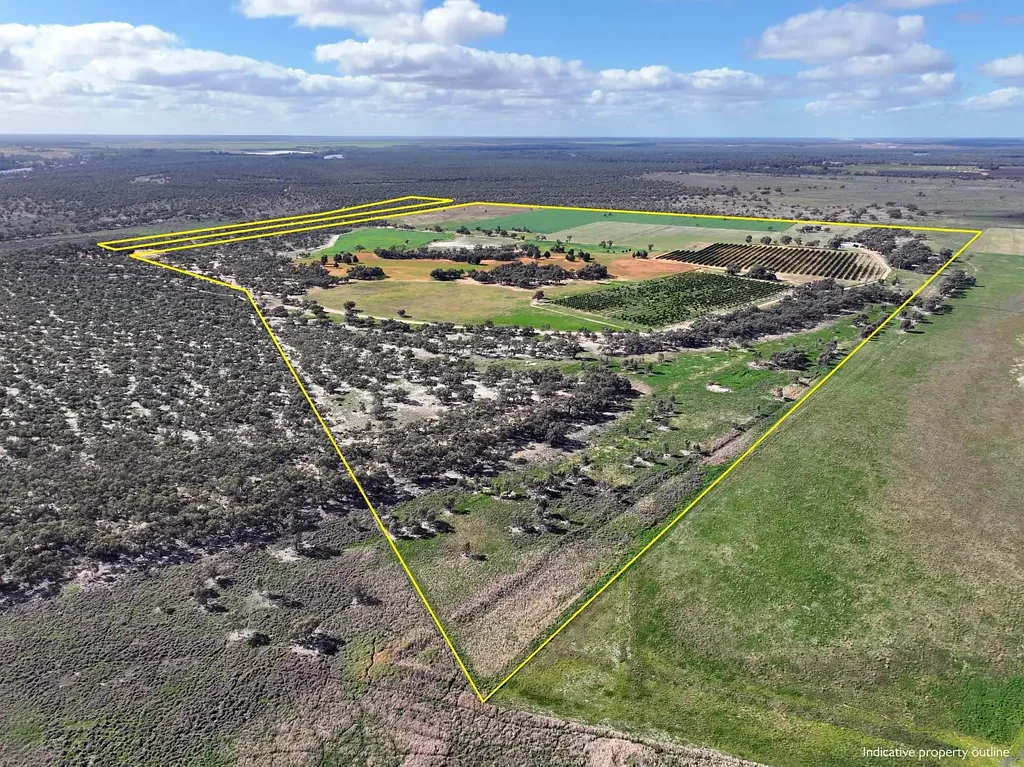 Red Cliffs  RURAL LIFESTYLE WITH INCOME